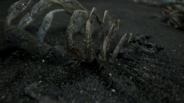 Actual product image Sony Death Stranding (Nordic Version) (PS4, EN)
