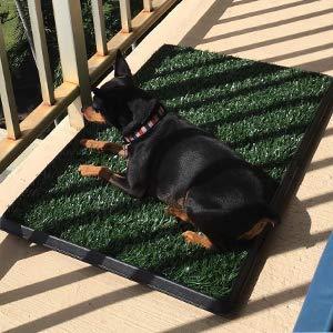 Produktbild Sailnovo Hundeklo (Hund)