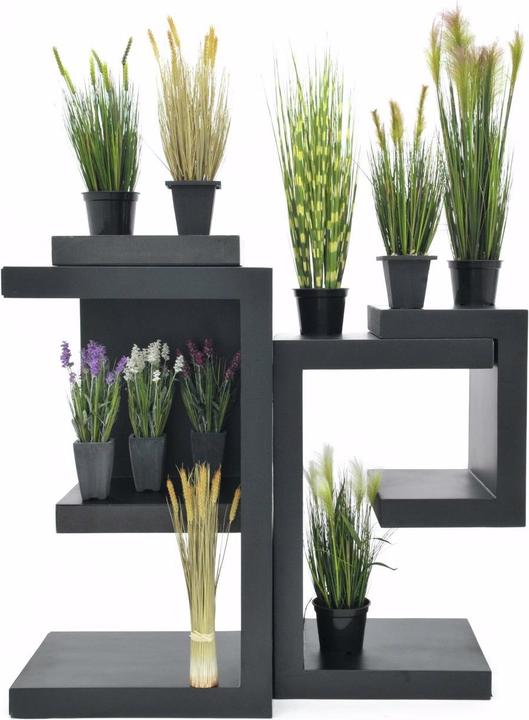 Actual product image Europalms Wheat early summer (60 cm)