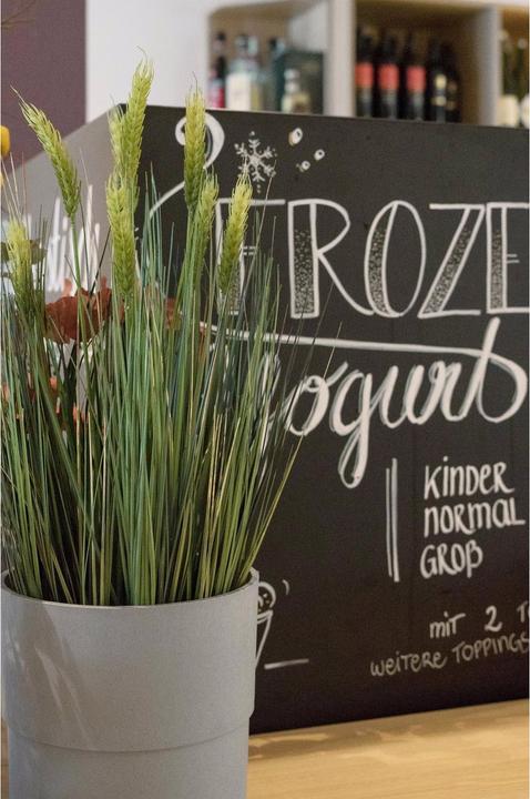 Actual product image Europalms Wheat early summer (60 cm)