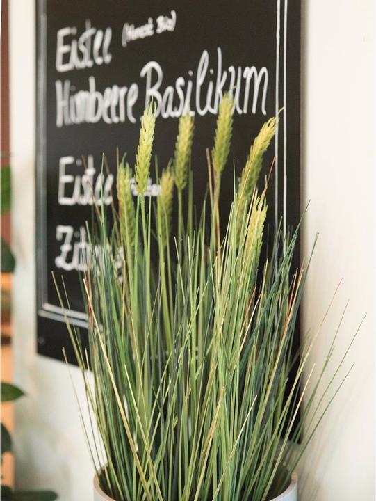 Actual product image Europalms Wheat early summer (60 cm)