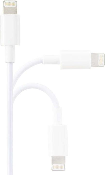 Actual product image Renkforce USB A — Lightning (3 m, USB 2.0)