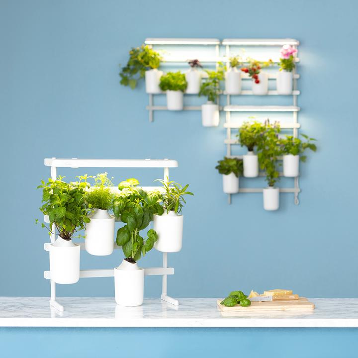 Produktbild Prêt à Pousser Modulo 2 (30.50 cm)