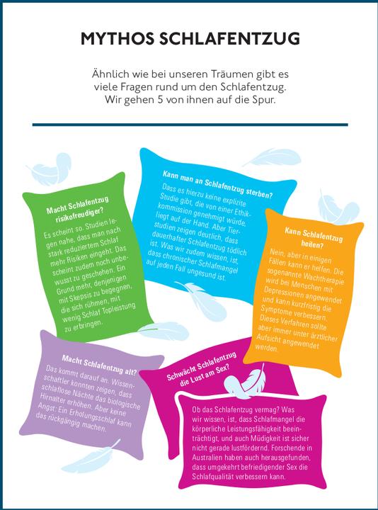 Produktbild Das Besser-schlafen-Prinzip (Deutsch, Prof. Dr. Dr. med. Kai Spiegelhalder, 2024)