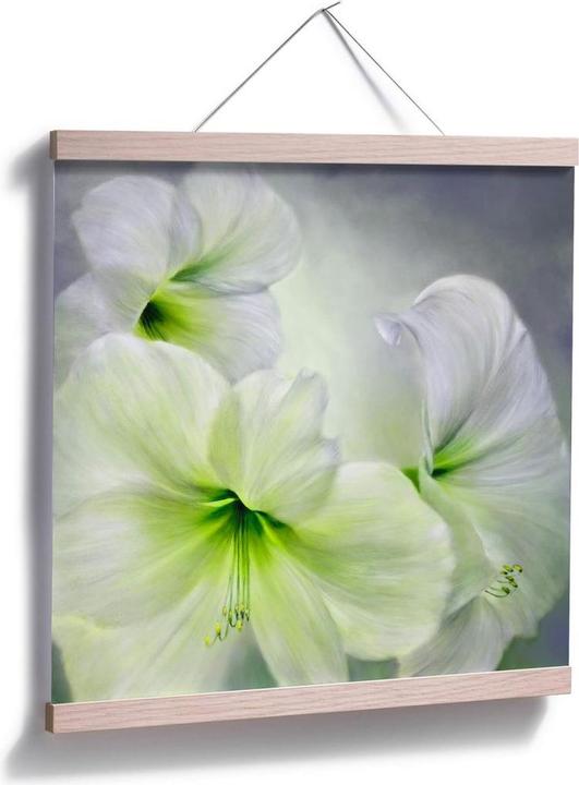 Actual product image Trenddeko White amaryllis (120 x 120 cm)