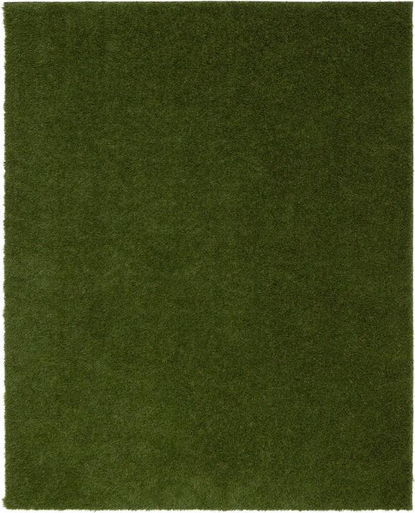 Actual product image Snapstyle Lawn carpet (1 x, 200 x 50 cm)