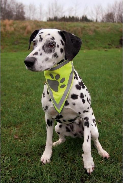 Immagine prodotto Trixie Fazzoletto da naso Safer Life (S, M, Bandana per cani)
