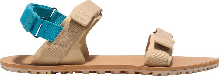 Actual product image Xero Shoes D-Trail (36.5)