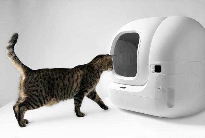 Immagine prodotto Petkit Pura Max 2 (Lettiera autopulente)