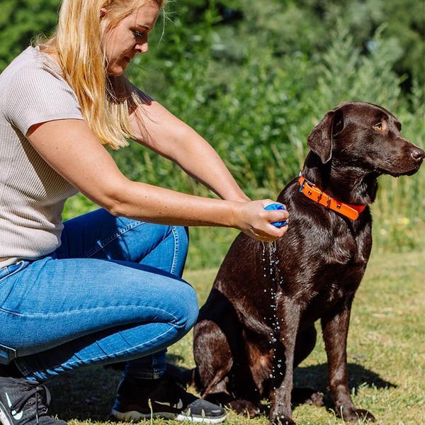 Actual product image Nobby Speedy Dry Comfort towel (Dog)