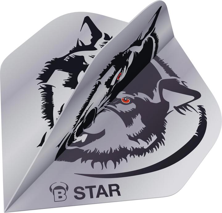 Bull's Voli B-Star