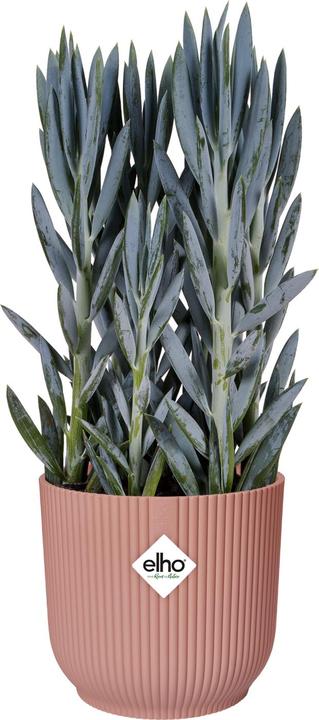 Produktbild Elho Vibes Fold (22 cm)