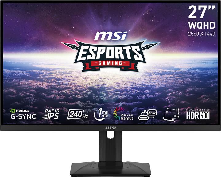 MSI G274QPXDE (2560 x 1440 Pixel, 27")