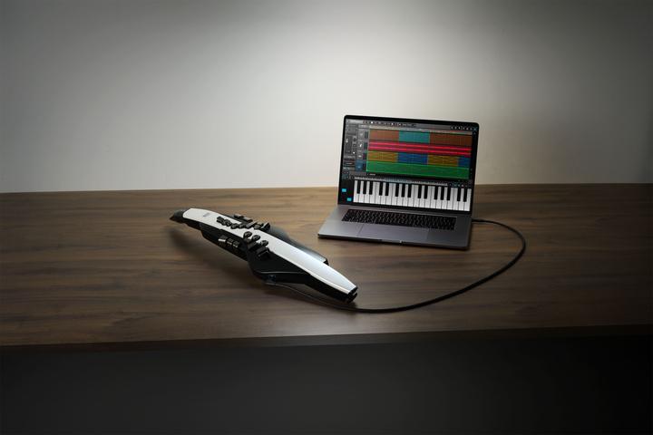 Produktbild Roland AE-20 Digitales Blasinstrument