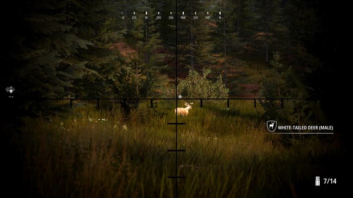Image du produit Bigben Hunting Simulator 2 (Xbox Series X, Xbox One X, Multilingue)