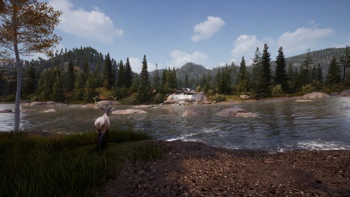 Image du produit Bigben Hunting Simulator 2 (Xbox Series X, Xbox One X, Multilingue)