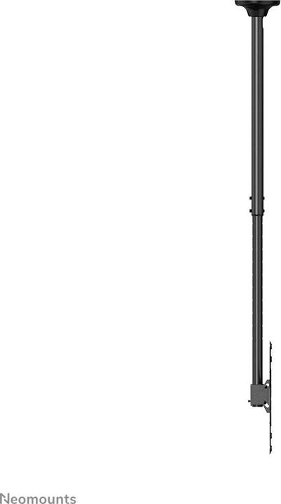 Actual product image Neomounts FPMA-C340BLACK (Ceiling, 75")