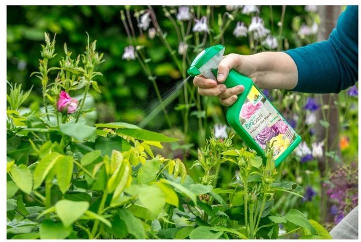 Produktbild Neudorff BioKraft Vitalkur für Rosen, 500 ml