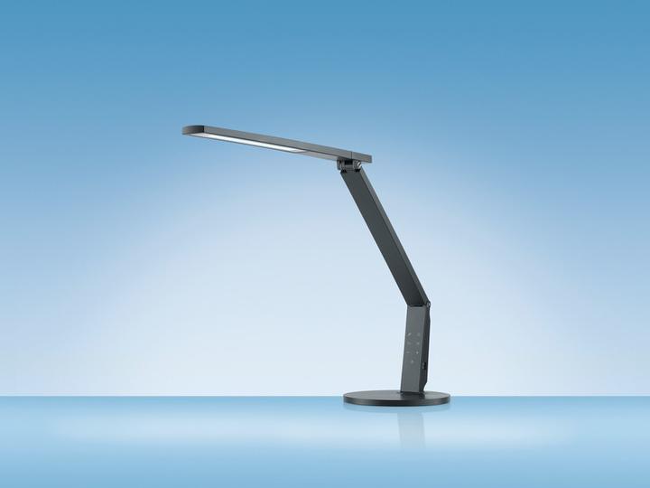 Actual product image Hansa Vario Plus (741 lm)