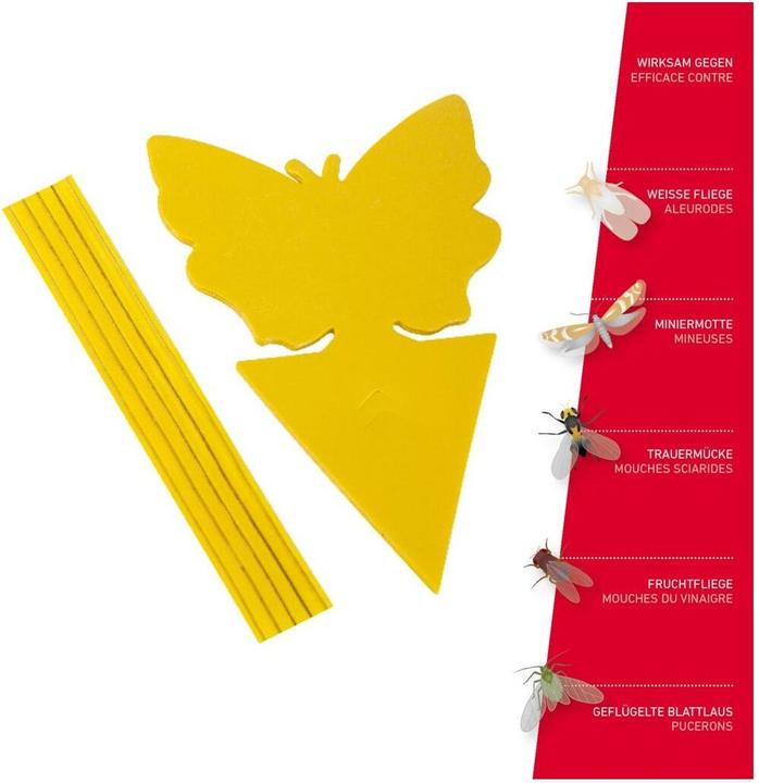 Actual product image Windhager Yellow sticky trap