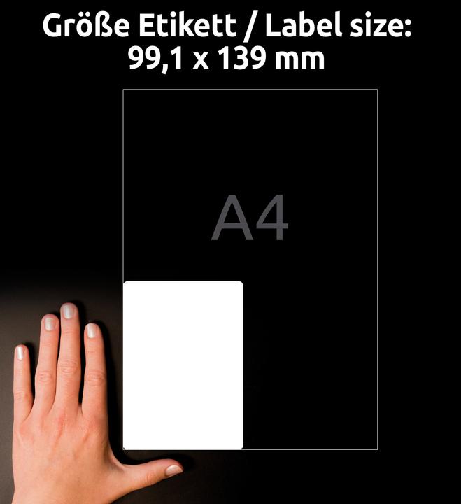 Actual product image Avery Weatherproof labels
