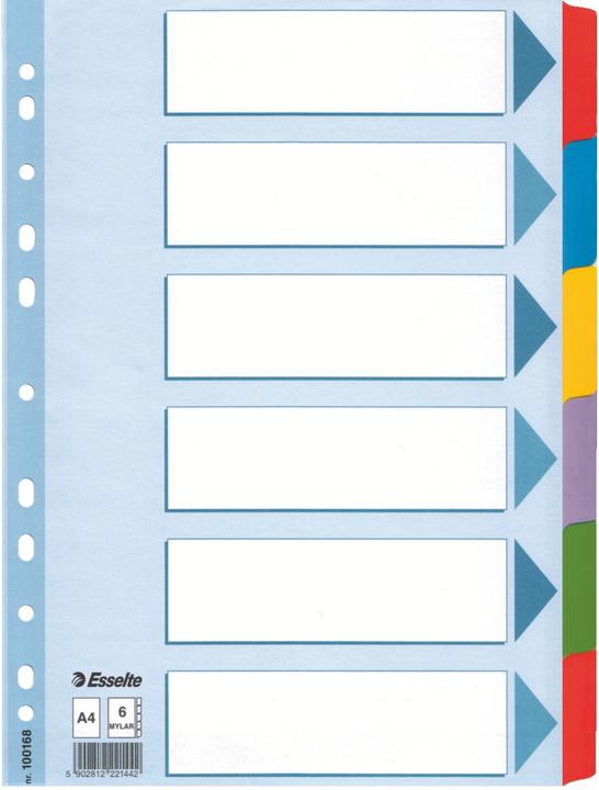 Produktbild Esselte Karton-Register Mylar, verschiedene Ausführungen, einzeln