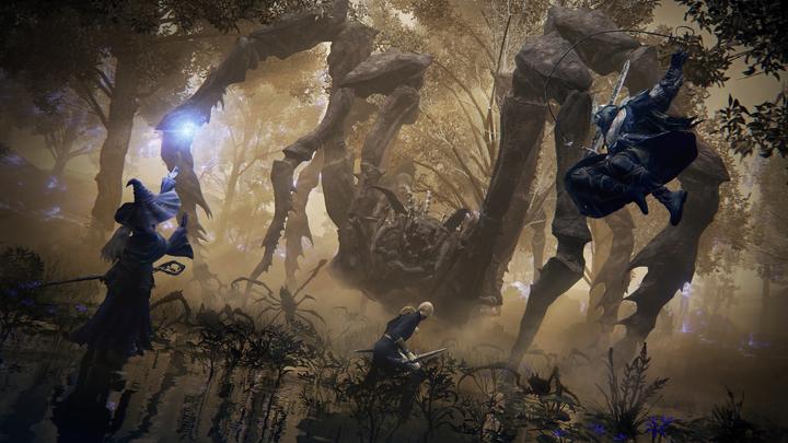 Produktbild Bandai Namco Elden Ring Nightreign (PS5)