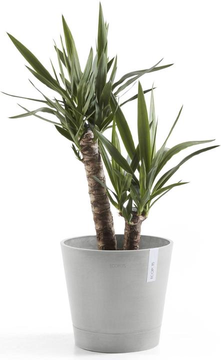 Produktbild Ecopots Venice (40 cm)