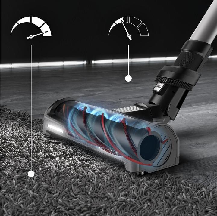 Productafbeelding Rowenta X-Force Flex 14.60 Animal Care
