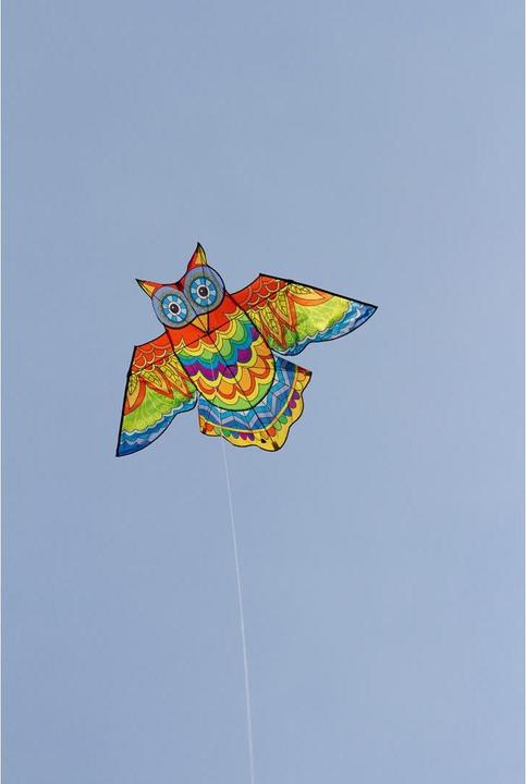 Immagine prodotto Invento Aquilone Jazzy Owl Kite 145x85 cm, da 5 anni, incl. bobina con corda 40 m