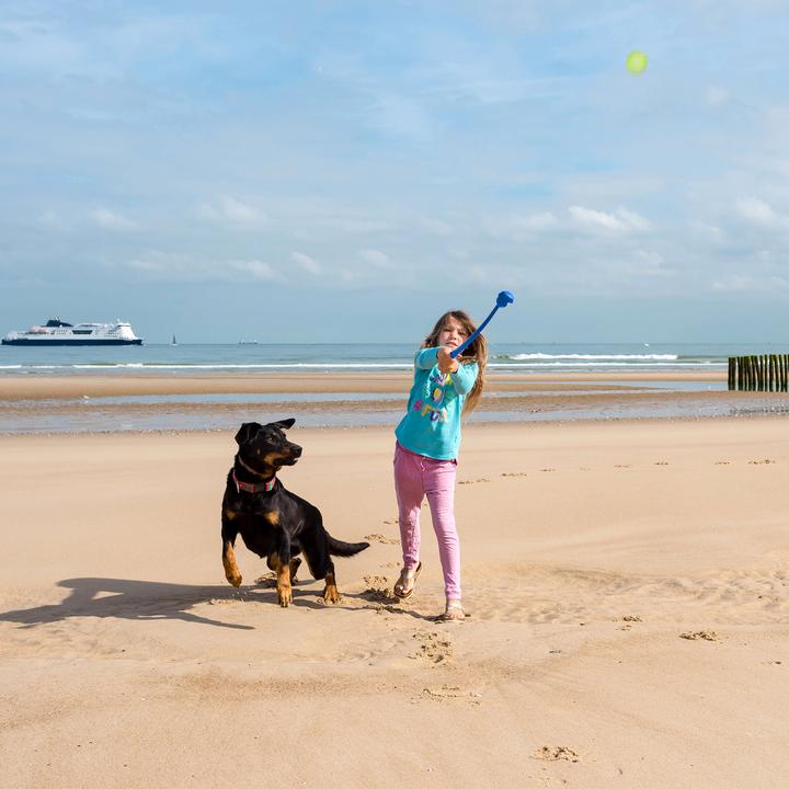 Produktbild Relaxdays Ballschleuder (Ballspielzeug Hund)
