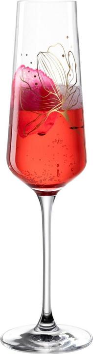 Leonardo Champagne glass Presente 220 ml, 1 piece, Transparent (22 cl, 1 Glasses, Champagne glasses)