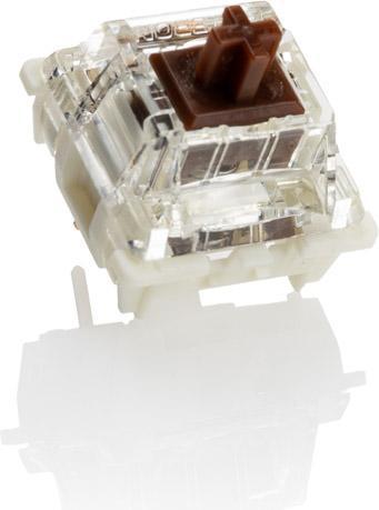 Produktbild Ducky Gateron G Pro Brown RGB Switches, mechanisch, 3-Pin, Taktile, MX-Stem, 55g - 110 Stück