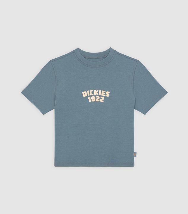 Actual product image Dickies Center Logo Ss Tee W Stormy Weather (S)