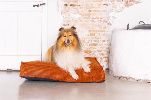 Image du produit Designed by Lotte Coussin de couchage Ribbed (Chien)