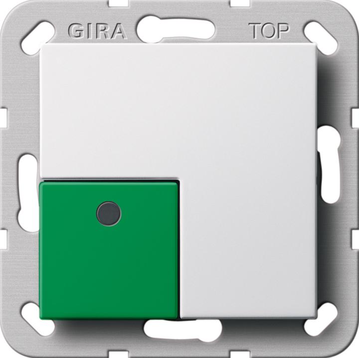 Actual product image Gira Cancel switch System 55 Re in white 291103