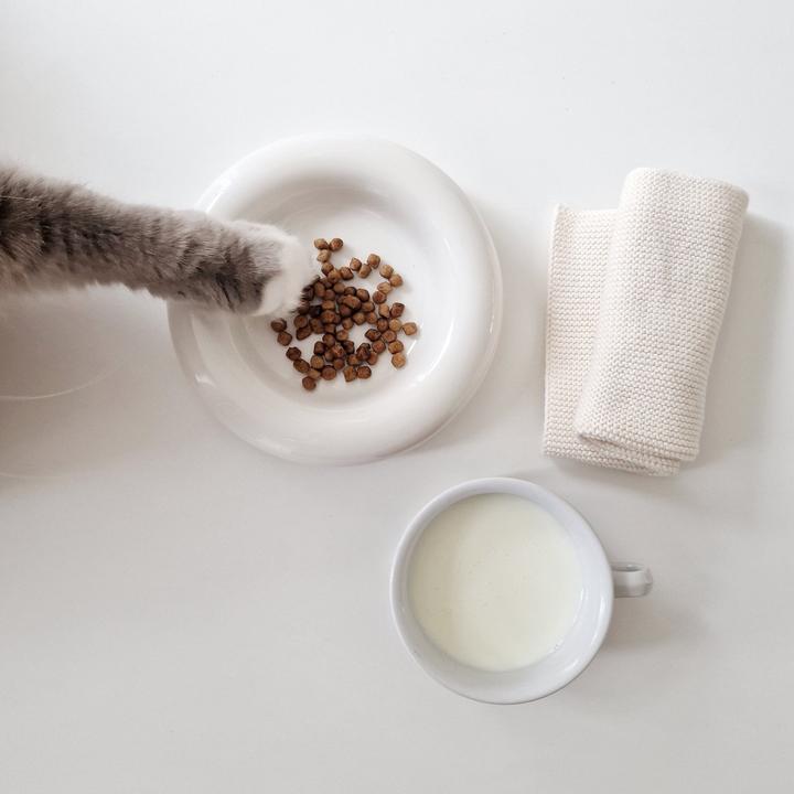 Actual product image LucyBalu DROP Katzennapf