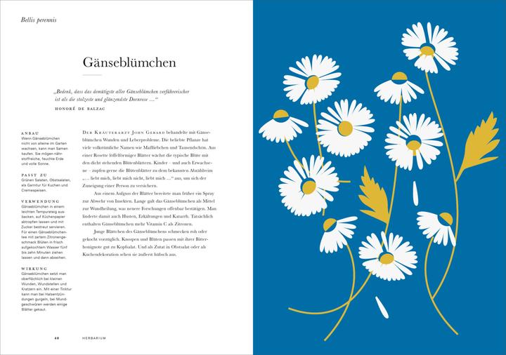 Produktbild Herbarium (Deutsch, Caz Hildebrand, 2019)