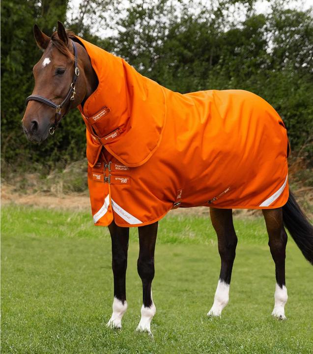 Burnt Orange