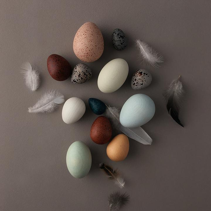 Image du produit Moon Picnic Oeufs d'oiseaux en bois dans la boîte