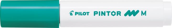 Actual product image Pilot Pintor Medium Set à 6 Standard (Multicoloured, 1.40 mm, 6 x)