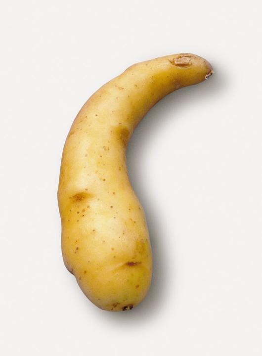 Image du produit Samen Mauser Pomme de terre de semence Ratte/Virgule (Graines de légumes)