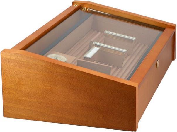 Actual product image adorini Vega Deluxe (100)