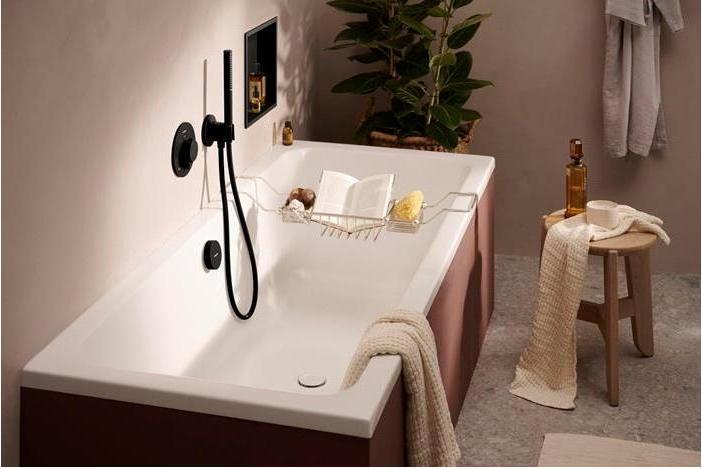 Image du produit hansgrohe Isiflex (125 cm)