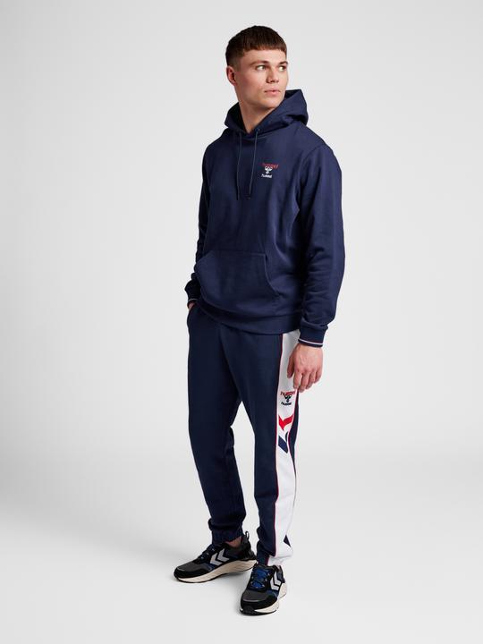 Actual product image hummel Ic Dayton Hoodie (S)