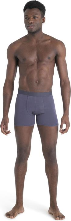 Image du produit Icebreaker Hommes Merino Core Boxers (XXL)