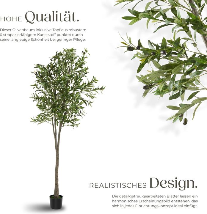 Image du produit tectake Olivier Oleand (210 cm)