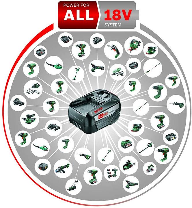 Image du produit Bosch Home & Garden Batterie PBA 18V lithium-ion (18 V)