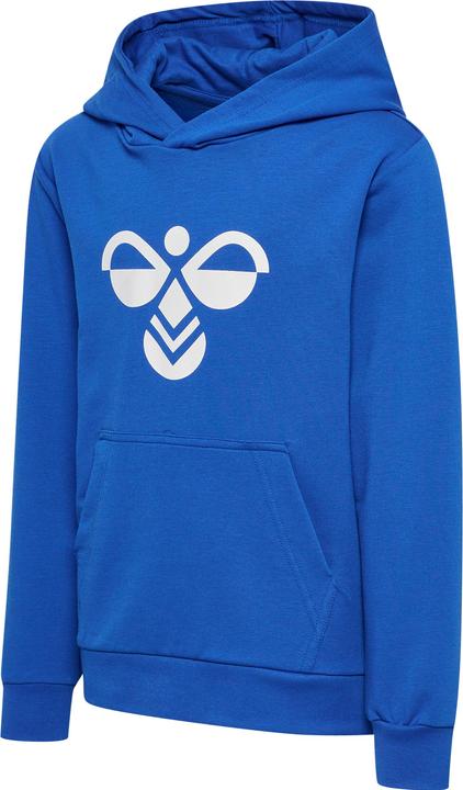 Actual product image hummel hmlCUATRO HOODIE (134)