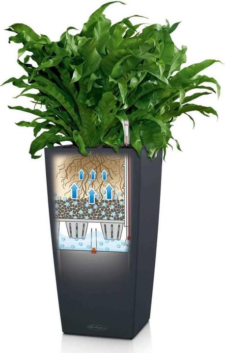 Image du produit Lechuza cubico (39.50 cm)